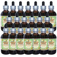 American Ginseng (Panax Quinquefolius) Glycerite, Dried Root Alcohol-Free Liquid Extract (Brand Name: HerbalTerra, Proudly Made in USA) 20x4 fl.oz (20x120 ml)