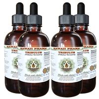 Tribulus Alcohol-Free Liquid Extract, Tribulus (Tribulus Terrestris) Dried Fruit Glycerite Natural Herbal Supplement, Hawaii Pharm, USA 4x4 fl.oz
