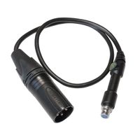 Lewitt Adapter Cable for LCT-640-TS, Mini Female to 3-Pin Standard Male, 0.5 Meters (LCT-40-TS)