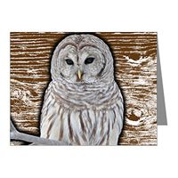 Note Card Snow Owl