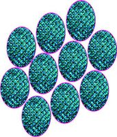 Dexcom Custom Adhesive Patches 10 Pack (Mermaid)
