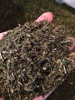 Organic Bio Herbs-Organic Dried Nettle Leaf/leaves (Urtica Dioica) 6 Oz.