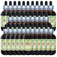 Marshmallow (Althaea Officinalis) Glycerite, Organic Dried Root Alcohol-Free Liquid Extract (Brand Name: HerbalTerra, Proudly Made in USA) 30x2 fl.oz (30x60 ml)
