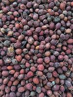 Organic Dried Hawthorn (Crataegus Monogyna) Tea 2 Oz.