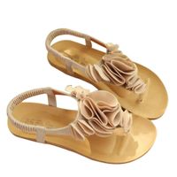 Baigoods Women Flower Summer Bohemia Sweet Sandals Clip Toe Sandals Beach Ankle Elastic Band Shoes (US:7, Beige)