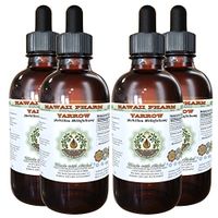 Yarrow Alcohol-Free Liquid Extract, Organic Yarrow (Achillea millefolium) Dried Herb Glycerite 4x4 oz