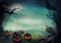 Vacally Halloween Backdrops Ghost, Skull/Bat Vinyl Pumpkin Vinyl 5x3FT Lantern Background Photography Studio Studio Props Art Poster Print Wall Photo Picture (B)