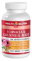 Echinacea with goldenseal root - ECHINACEA AND GOLDENSEAL ROOT - support digestion (1 bottle)