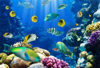 Leowefowa 7X5FT Under the Sea Backdrop Underwater World Backdrops for Photography Coral Fish Aquarium Vinyl Photo Background Interior TV Wallpaper 3D Kids Children Summer Party Studio Props