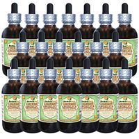 Angelica Chinese (Angelica Sinensis) Glycerite, Organic Dried Root Alcohol-Free Liquid Extract (Brand Name: HerbalTerra, Proudly Made in USA) 20x4 fl.oz (20x120 ml)