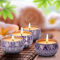 Scented Candles Blue & White Gift Set - 4 Pack Fragrance Soy Wax Candle with Aromatherapy Essential Oils - Include (Lily & Green Tea & Lilac Blossoms & Ginger Flower)