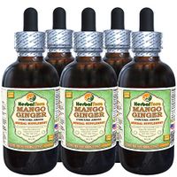 Mango Ginger (Curcuma Amada) Dried Root Alcohol-Free Liquid Extract (Brand Name: HerbalTerra, Proudly Made in USA) 5x2 oz