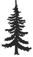 hBARSCI Pine Tree Vinyl Decal - 5 Inches - for Cars, Trucks, Windows, Laptops, Tablets, Outdoor-Grade 2.5mil Thick Vinyl - Matte Black