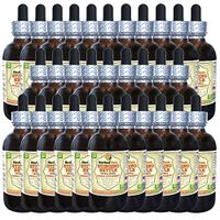 Stinging Nettle (Urtica Dioica) Tincture, Organic Dried Leaves Liquid Extract (Brand Name: HerbalTerra, Proudly Made in USA) 30x2 fl.oz (30x60 ml)