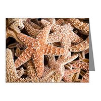 Note Card Collection Of Starfish