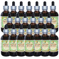 Goat's Rue (Galega officinalis) Glycerite, Organic Dried Herb Alcohol-Free Liquid Extract (Brand Name: HerbalTerra, Proudly Made in USA) 20x4 fl.oz (20x120 ml)
