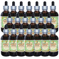 Garlic (Allium Sativum) Glycerite, Organic Dried Alcohol-Free Liquid Extract (Brand Name: HerbalTerra, Proudly Made in USA) 20x4 fl.oz (20x120 ml)