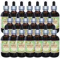 Sanicle (Sanicula Europaea) Glycerite, Dried Herb Alcohol-Free Liquid Extract (Brand Name: HerbalTerra, Proudly Made in USA) 20x4 fl.oz (20x120 ml)