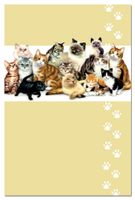 Tree-Free Greetings ECOnotes Notecard Set, 4 x 6 Inches, 12-Count Notecards with Envelopes, Kitten Crew (66533)