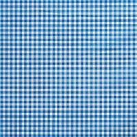 Blue Gingham Printed Tissue Paper for Gift Wrapping, 24 Large Sheets (20x30), White and Bright Blue Check