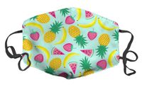 Dust Face Mask for Dust Mouth Mask Anti-Dust Mask Adjustable Earloop Face Mask (Fruit Mix)