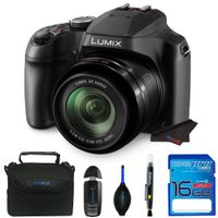 LUMIX FZ80 4K Point and Shoot Long Zoom Camera (DC-FZ80K) with 16 Gb Memory Card and Other Basic Accessories