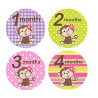 Baby Monthly Stickers for Onesies Monkey 1-12 Months Milestone Stickers Newborn Girl Stickers Infant Photo Prop Baby Shower Gift Bonus Sheet Included