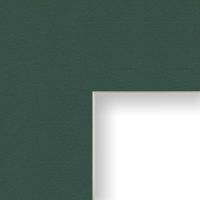 Craig Frames B127 16x20-Inch Mat, Single Opening for 11x14-Inch Image, Forest Shadow with Cream Core