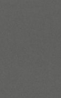 Charcoal Grey 32" x 40" Photo Mat Board Full Sheet - Uncut (25-Sheets)