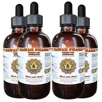Turkey Tail Mushroom Liquid Extract, Turkey Tail Mushroom (Trametes Versicolor) Mushroom Tincture, Herbal Supplement, Hawaii Pharm, Made in USA, 4x4 fl.oz