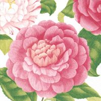 4 Paper Napkins for Decoupage - 3-ply, 33 x 33cm - Camellias (4 Individual Napkins for Craft and Napkin Art.)