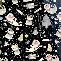 Jillson & Roberts Gift Wrap, Orbit (8 Rolls 5ft x 30in)