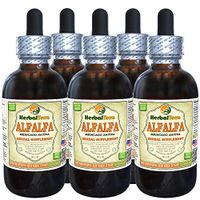 Alfalfa (Medicago Sativa) Tincture, Organic Dried Leaf Liquid Extract (Brand Name: HerbalTerra, Proudly Made in USA) 5x2 fl.oz (5x60 ml)
