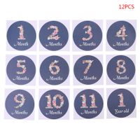 12 Pcs/Set Newborn Commemorative Monthly Floral Digital Sticker Photo Props Baby Month Photography Stickers
