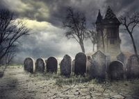 Succeedtop Halloween Night Backdrops Moon Pumpkin Vinyl 5x3FT Lantern Background Photography Studio Photo Studio Props （Skeleton Man/Moon/Castle/Pumpkin/Star） 15090cm (G(15090cm))