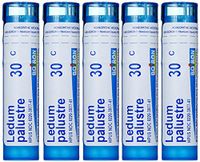 Boiron Ledum Palustre 30C (Pack of 5), Homeopathic Medicine for Insect Bites