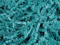 Crinkle Cut Gift Shred Filler - 10 LB - Teal