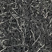 Worlds Crinkle Cut Paper Shred for Packing Filler Gift Wrap Basket Filler Colored Crinkle Paper 2LB Black