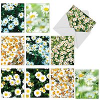 The Best Card Company - 10 Flower All Occasion Blank Cards (4 x 5.12 Inch) - Boxed Cards with Envelopes - Oopsy Daisies M6031