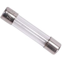Littelfuse 10A 3AG Fast Blow Fuse.