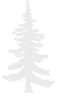 hBARSCI Pine Tree Vinyl Decal - 11 Inches - for Walls, Windows, Doors, Vehicles, Outdoor-Grade 2.5mil Thick Vinyl - White