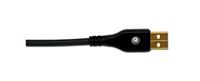 Planet Waves USB Cable, 10 feet