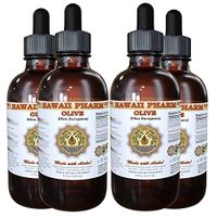 Olive Liquid Extract, Organic Olive (Olea europaea) Tincture 4x4 oz