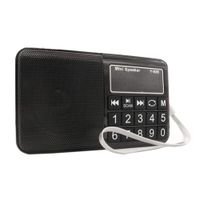 Portable Pocket FM/AM/SW Radio, HePesTer H-R928 Handy Radio with Headset Output/AUX Input/MP3/External Speaker/16GB TF Card/16GB USB, Powered by Lithium Battery (Black)