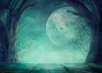 Succeedtop Halloween Night Backdrops Moon Pumpkin Vinyl 5x3FT Lantern Background Photography Studio Photo Studio Props （Skeleton Man/Moon/Castle/Pumpkin/Star） 15090cm (I(15090cm))