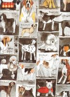 Alex Clark Art Dog Squares Gift Wrapping Paper 2 Sheets 19.5 in x 27.5 in