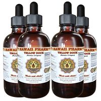Yellow Dock Liquid Extract, Organic Yellow Dock (Rumex Crispus) Tincture, Herbal Supplement, Hawaii Pharm, Made in USA, 4x4 fl.oz