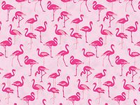 Pink Flamingo Print Gift Grade Tissue Paper Sheets - 20" x 30" Choose Package Amount (5)