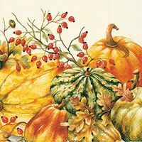 Boston International Calabaza Cream Paper Lunch Napkins 20 Ct.