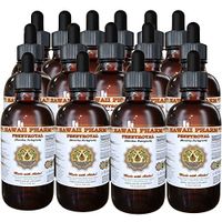 Pennyroyal (Mentha pulegium) Liquid Extract 15x4 oz